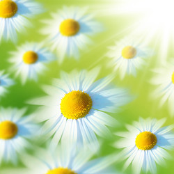 Similar image 1208535