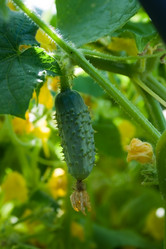 Similar image 1208559