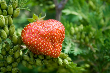 Similar image 1208560