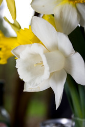 Similar image 1208561