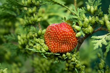 Similar image 1208562