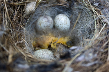 Similar image 1208563