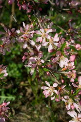 Similar image 1208569