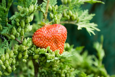 Similar image 1208570