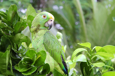 Similar image 1208589