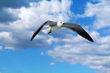 Similar image 1208590