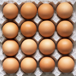 Similar image 1208608