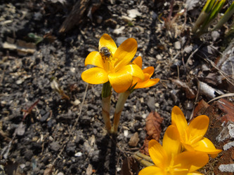 Similar image 1208641