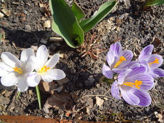 Similar image 1208644