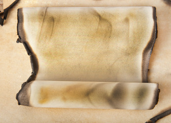 Similar image 1208648