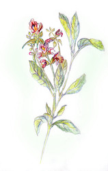 Similar image 1208655