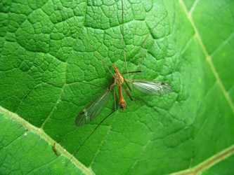 Similar image 1208669