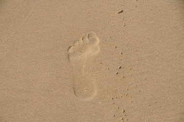 Similar image 1208674