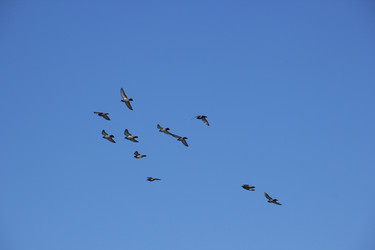 Similar image 1208688