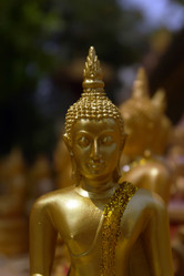 Similar image 1208696