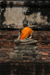 Similar image 1208709