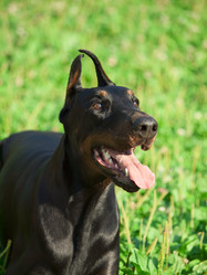 Similar image 1208711