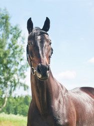 Similar image 1208712