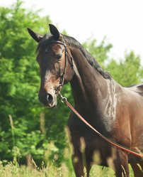 Similar image 1208715