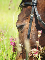 Similar image 1208717