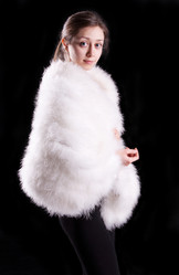 Similar image 1208799