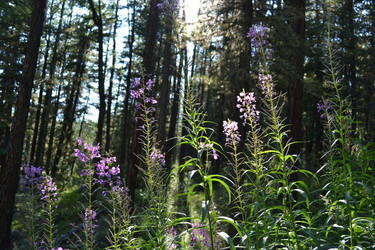 Similar image 1208833