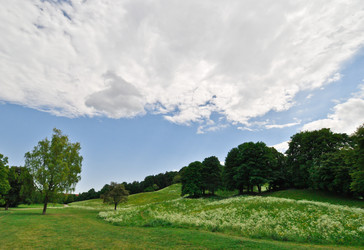 Similar image 1208843