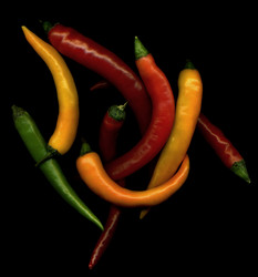 Similar image 1208889