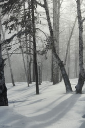 Similar image 1208890