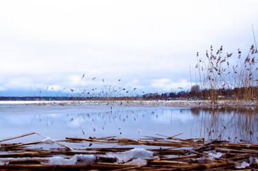 Similar image 1208897