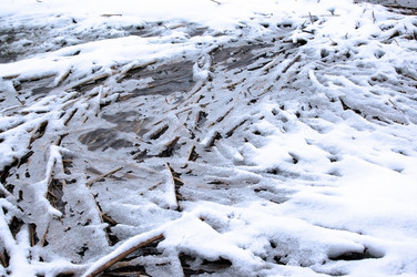 Similar image 1208899