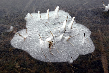 Similar image 1208900