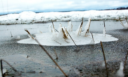 Similar image 1208901