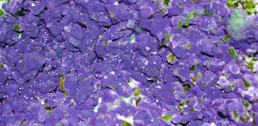 Similar image 1208903