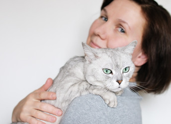 Similar image 1208909