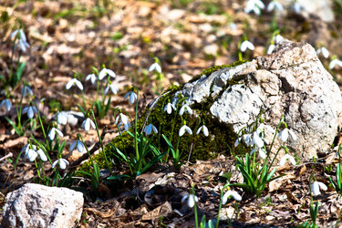 Similar image 1209018