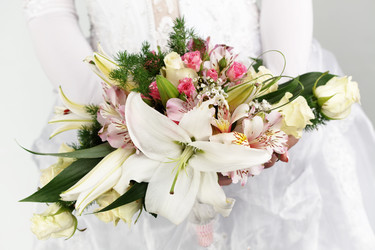 Similar image 1209042