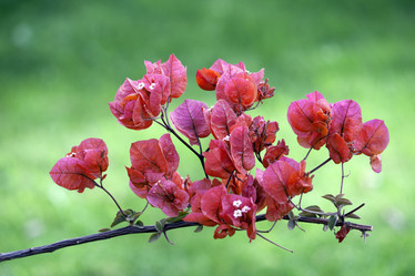 Similar image 1209156