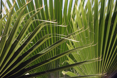 Similar image 1209158