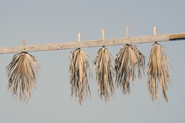 Similar image 1209170