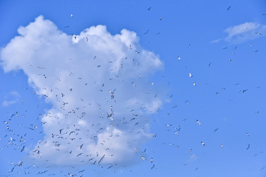 Similar image 1209219