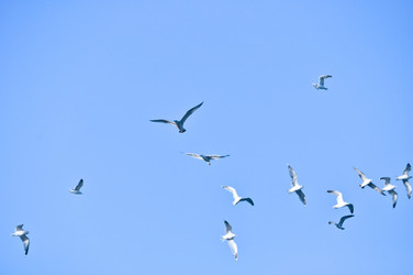 Similar image 1209220