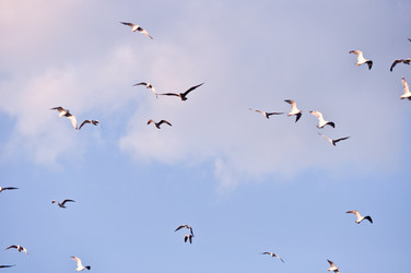 Similar image 1209225