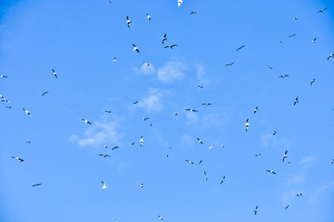 Similar image 1209235