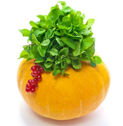 Similar image 1209270