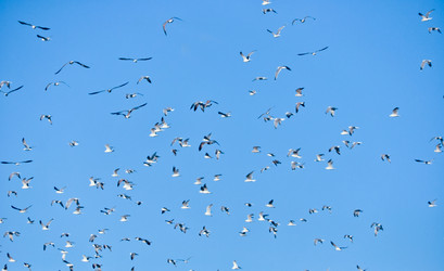 Similar image 1209362