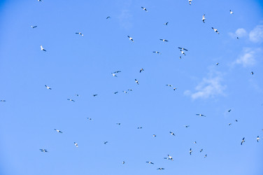 Similar image 1209366