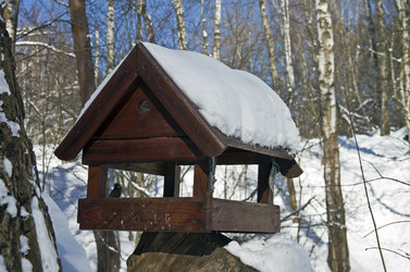 Similar image 1209413