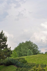 Similar image 1209425