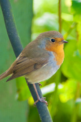 Similar image 1209432